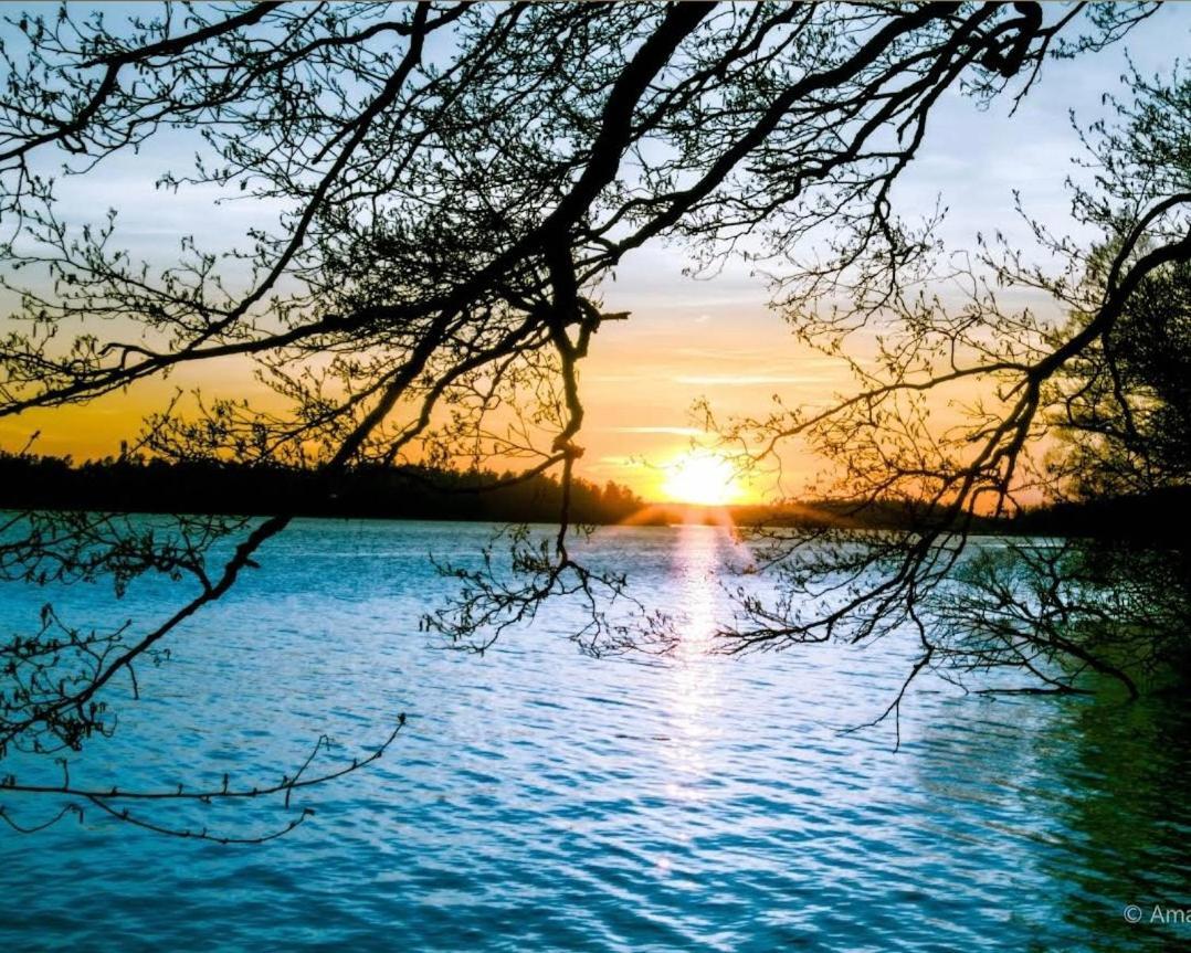 Close To The Metro And The Beach!!! With A View Of The Scandinavian Forest Stockholm Exterior foto