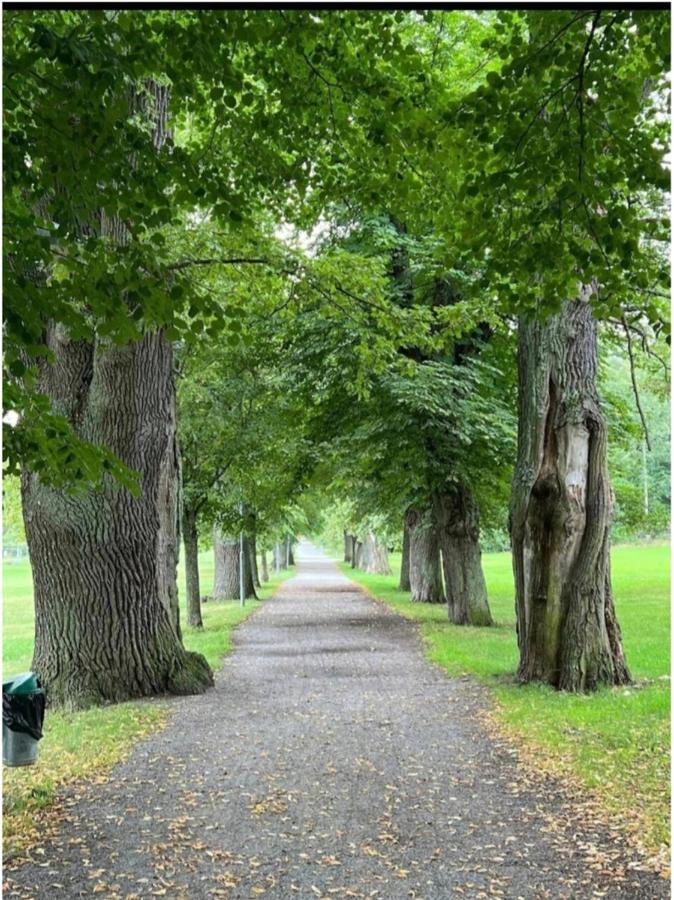 Close To The Metro And The Beach!!! With A View Of The Scandinavian Forest Stockholm Exterior foto
